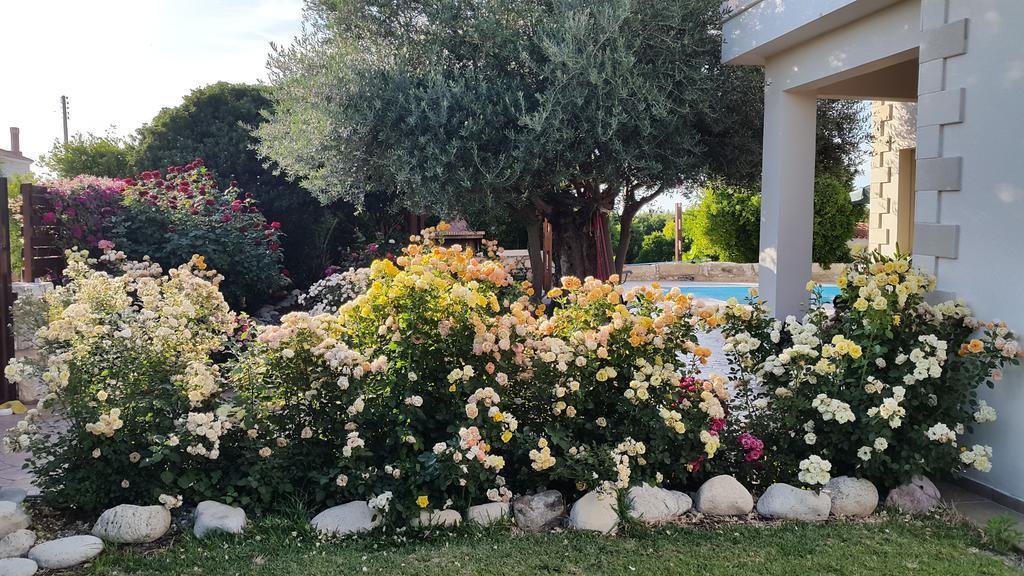 Jaime Villa Cyprus Argaka Bagian luar foto