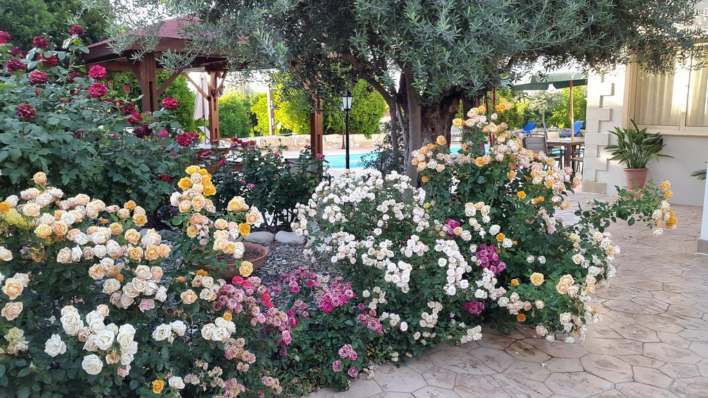 Jaime Villa Cyprus Argaka Bagian luar foto